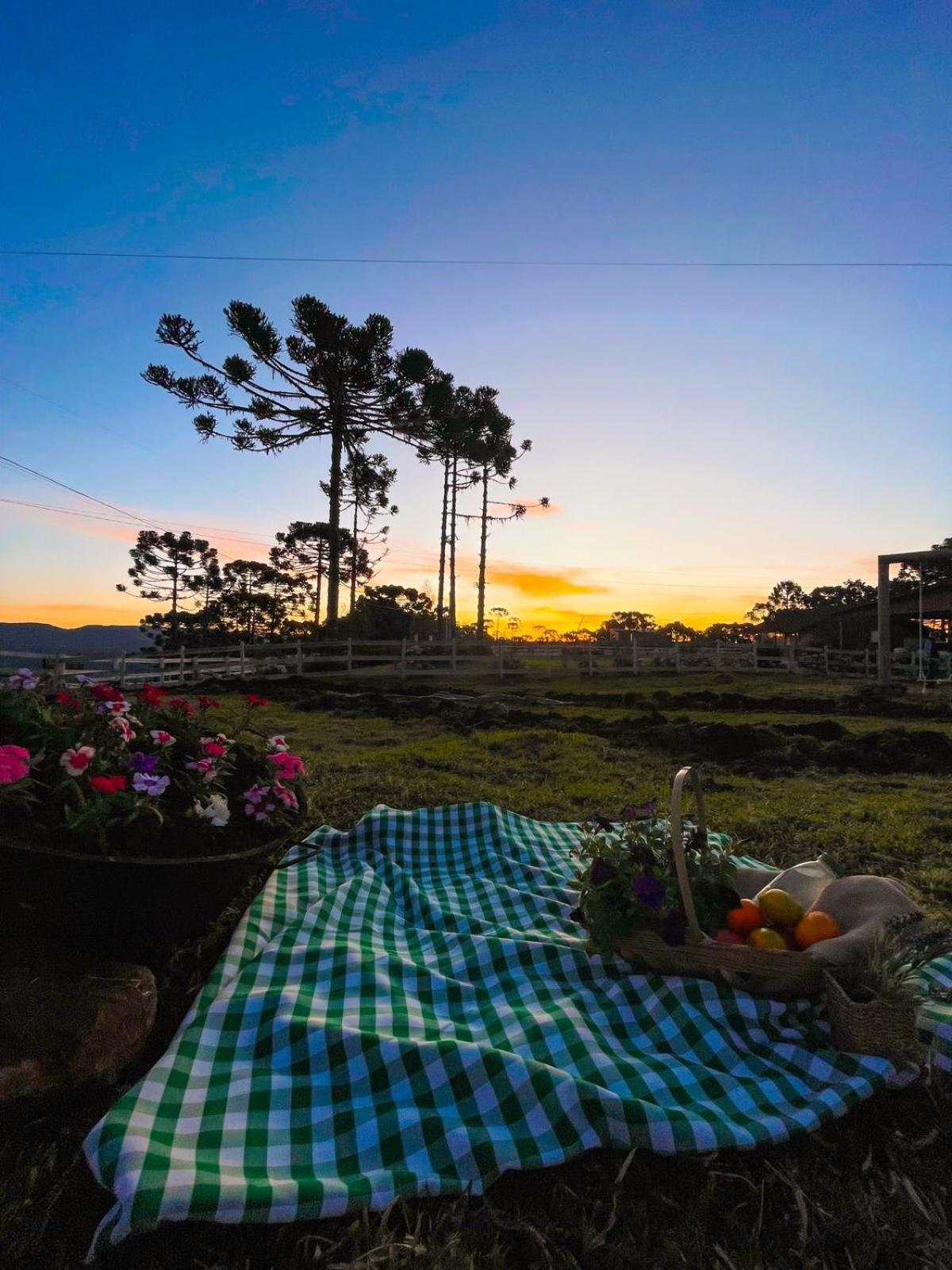 Villa Platto Da Neve:Jacuzzi E Lareira Em Urubici Rg2775 Extérieur photo